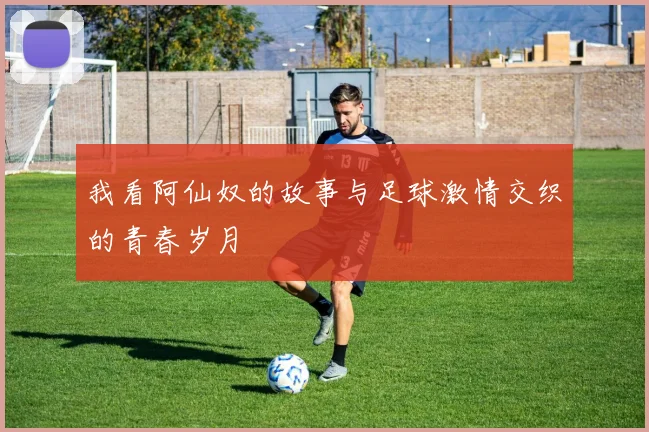 我看阿仙奴的故事与足球激情交织的青春岁月