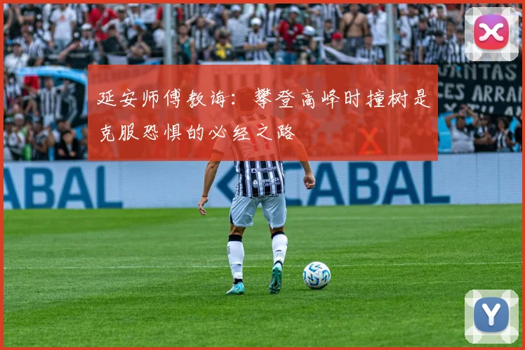 延安师傅教诲：攀登高峰时撞树是克服恐惧的必经之路