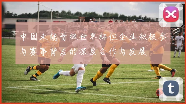 中国未能晋级世界杯但企业积极参与赛事背后的深度合作与发展
